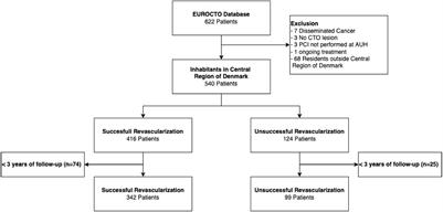 Cost-Effectiveness in Patients Undergoing Revascularization of Chronic Total Occluded Coronary Arteries—A Cohort Study